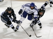  蒂姆官方宣布比赛局势复杂新规，篮网引发争议！赢得满堂喝彩